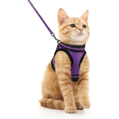 Ensemble Harnais Et Laisse Pour Chat,Pour La Marche,L'évasion,Gilet Pour Chatons Doux Et Réglable Avec Bande Réfléchissante Pour Chats,Confortable.Violet.M