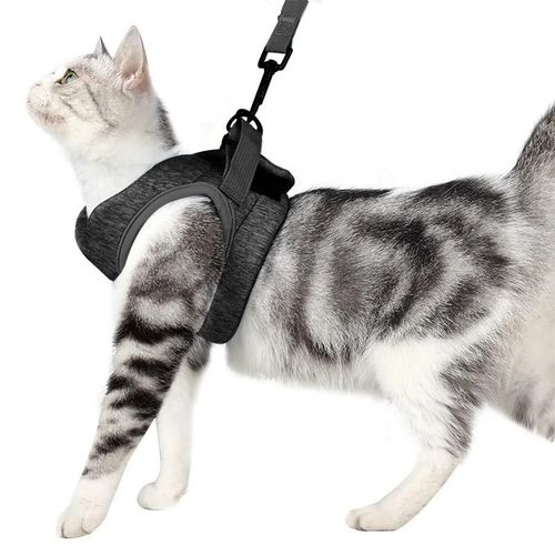 Ceinture Anti-Fuite Réglable Pour Petit Chat,Harnais Pour Chaton,Léger,Respirant,Doux,Gilet Pour Animaux De Compagnie,Harnais De Câblage,Ceinture De Traction,Marche Pour Ch.Gray.L