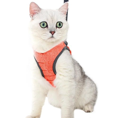 Ceinture Anti-Fuite Réglable Pour Petit Chat,Harnais Pour Chaton,Léger,Respirant,Doux,Gilet Pour Animaux De Compagnie,Harnais De Câblage,Ceinture De Traction,Marche Pour Ch.Orange.L
