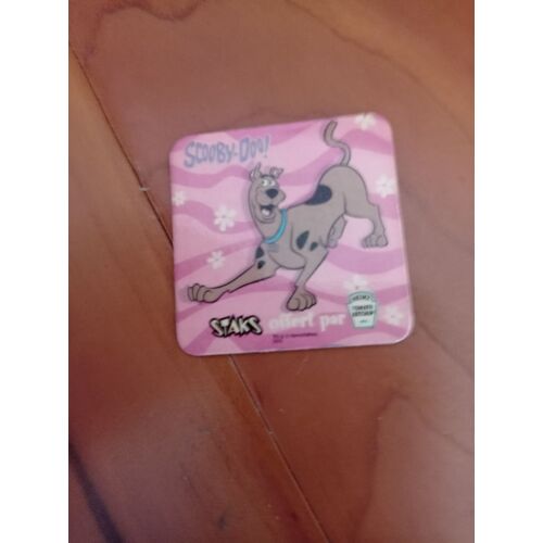 Scoobydoo Magnet