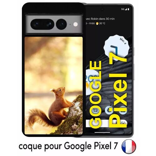 Coque pour google pixel 7 - ecureuil roux - silicone - noir