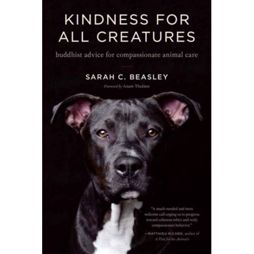 Kindness For All Creatures
