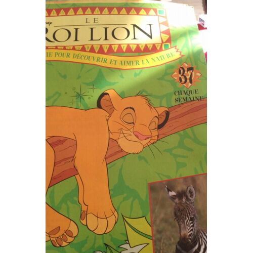 Roi Lion 37