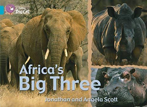 Africa's Big Three: Ban/07 Turquoise