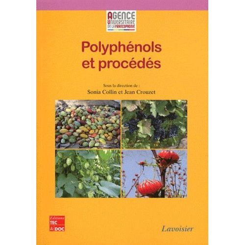 Polyphénols Et Procédés - Transformation Des Polyphénols Au Travers Des Procédés Appliqués À L'agro-Alimentaire