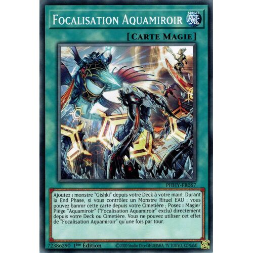 Phhy-Fr067 Focalisation Aquamiroir