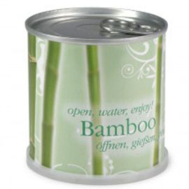 Bambou Prêt À Pousser En Canette