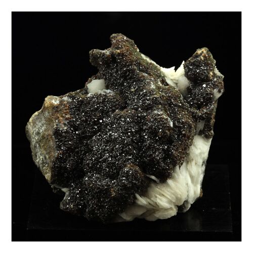 Baryte + Sphalerite. 567.0 Ct. Les Cèdres, Saint-Laurent-Le-Minier, Occitanie, France.