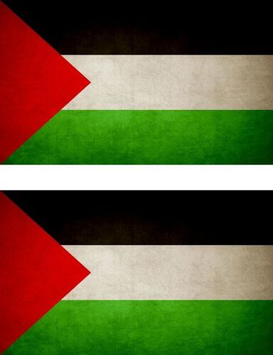 2x Autocollant Sticker Drapeau Vintage Vieilli Ps Palestine