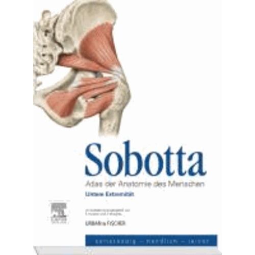 Sobotta, Atlas Der Anatomie Des Menschen Heft 3 - Untere Extremität