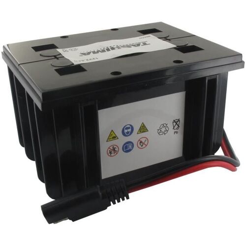 BRIGGS ET STRATTON - Batterie - Borne positive avec connexion spéciale - 12 V - 2,5 A - Acide - Gel