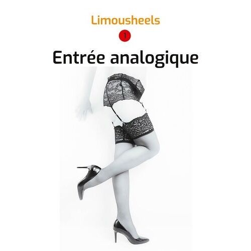 Les Aventures De Chris Nahcal Tome 1 - Entrée Analogique