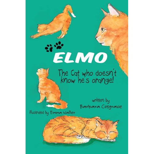 Elmo The Cat Who Doesn't Know He's Orange!