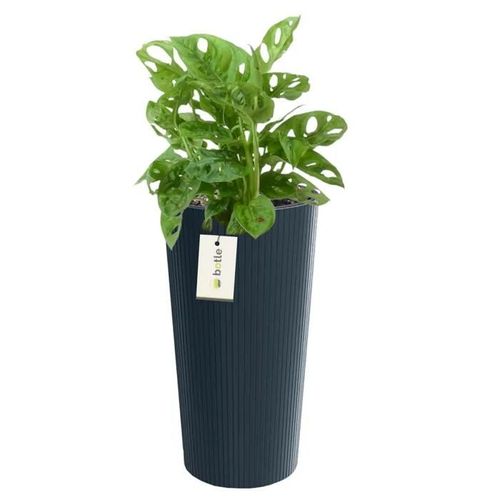 Pot De Fleurs Rond Ø 20 Cm H 38.5 Cm Anthracite Élégant Haut Rayé