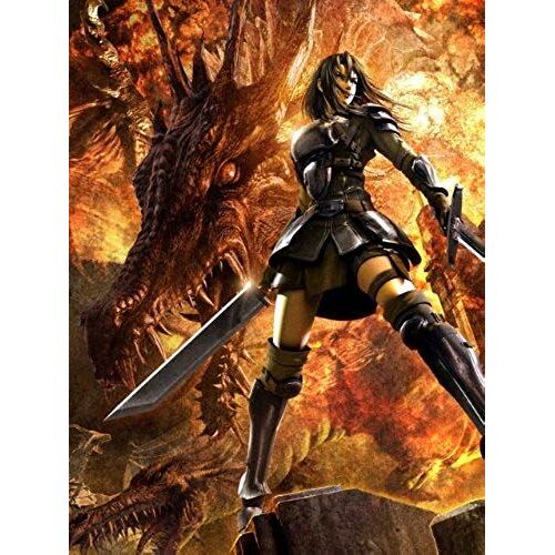 Animation - Dragon Age Blood Mage No Seisen (2dvds) [Japan Dvd] Avba-49507