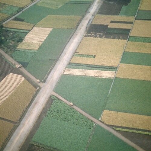 Celer - Perfectly Beneath Us [Vinyl Lp] Rmst