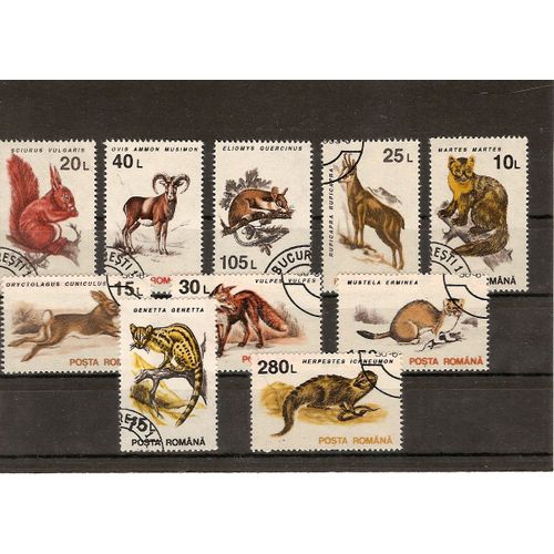 Animaux Sauvages De Roumanie