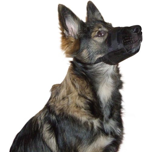 Kal-Kerbl Chien Muselière Nylon 22-30 Cm Noir