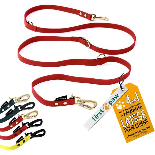 Laisse Chien 2m-Rouge/Dore-New 2024-Étanche,Solide,Confortable Et Multifonctionnelle Laisse Double Pour 2 Chiens-Laisse Main Libre Chien Pour Petits,Moyens Et Grands Chiens