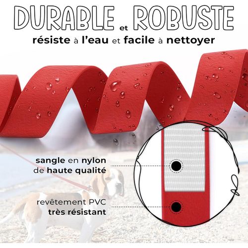 Laisse Chien 2m - Rouge/Dore - New 2024 - Étanche, Solide, Confortable Et Multifonctionnelle Laisse Double Pour 2 Chiens - Laisse Main Libre Chien Pour Petits, Moyens Et Grands Chiens