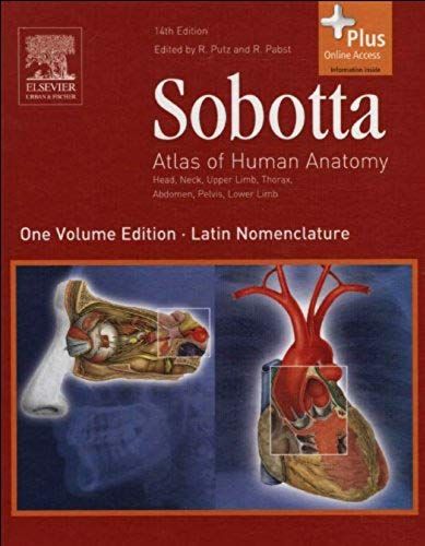 Atlas Of Human Anatomy
