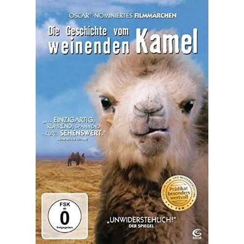 Geschichte Vom Weinenden Kamel, Die