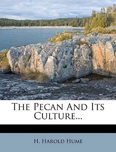 The Pecan And Its Culture...
