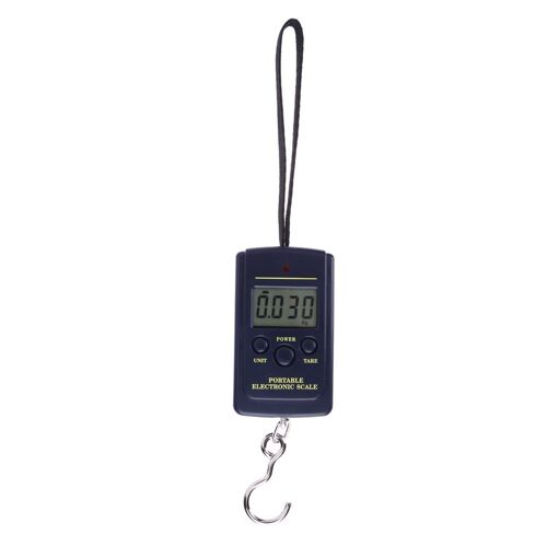 Mini balance numérique 40kg/10g, pour la pêche, les bagages, la pesée de voyage, crochet électronique suspendu, outil de poids de cuisine