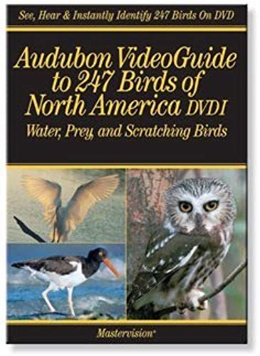 Audubon's Videoguide To Birds Of North America Dvd I Water, Prey And Scratching Birds