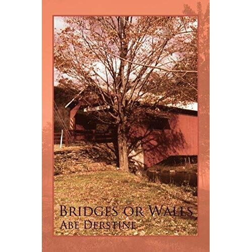 Bridges Or Walls