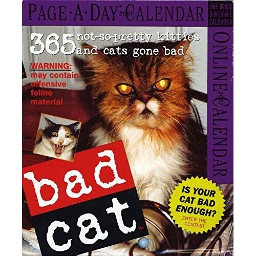 Bad Cat Page-A-Day Calendar 2007 (Page-A-Day Calendars)
