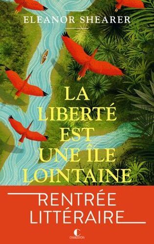 La Liberté Est Une Île Lointaine