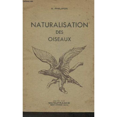 Naturalisation Des Oiseaux