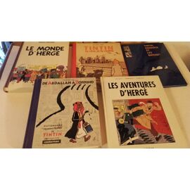Lot De 2 Figurines Abdallah - Tintin - Hergé - Occasion Parfait état