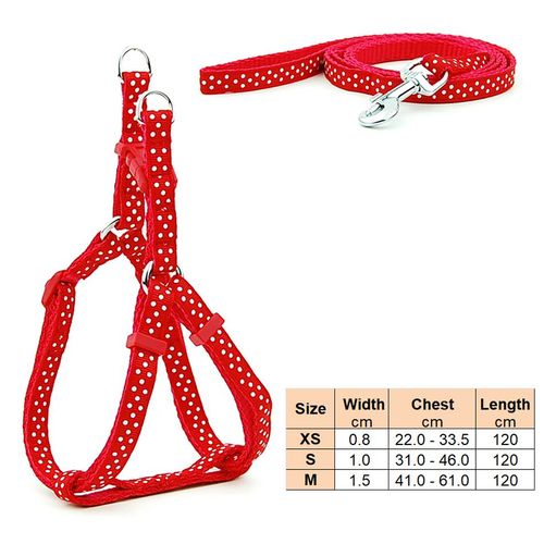 Laisse Sfp Réglable Pour Petit Chien Et Chat, Collier En Émail, Promenade En Plein Air Pour Chiot, Chihuahua Terier Schnauzer