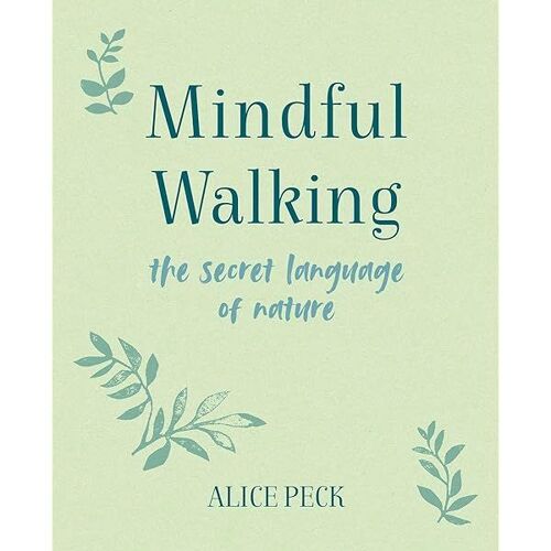 Mindful Walking