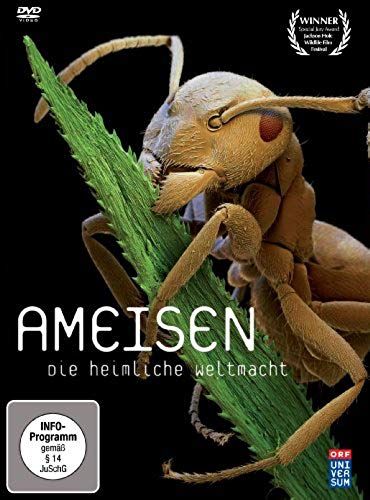 Ameisen - Die Heimliche Weltmacht [Dvd]