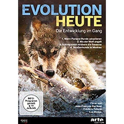 Evolution Heute: Die Entwicklung Im Gang: 1. Wenn Paviane Hunde Adoptieren 2. Wo Der Wolf Angelt 3. Schimpansen Erobern Die Savanne 4. Straßenhunde In Moska