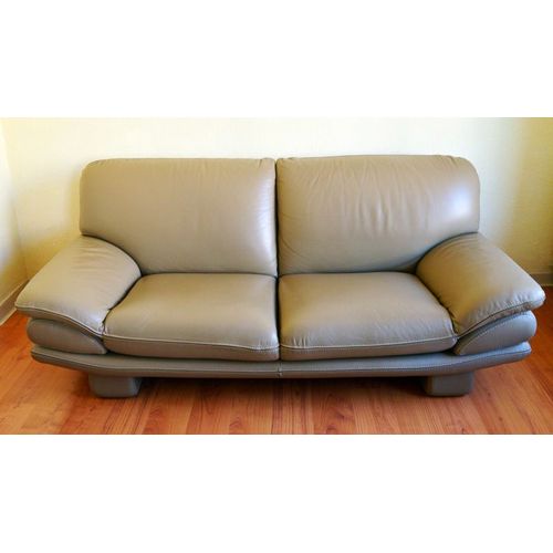 Canapé Cuir Roche Bobois
