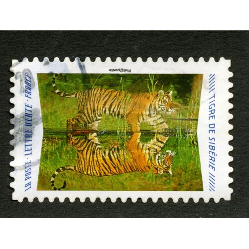 Timbre Oblitéré Tigre De Sibérie,La Poste,Lettre Verte,France