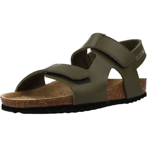 Geox 134088 Colour Marron