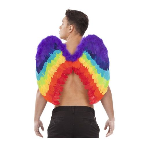 Ailes D?Ange Arc-En-Ciel