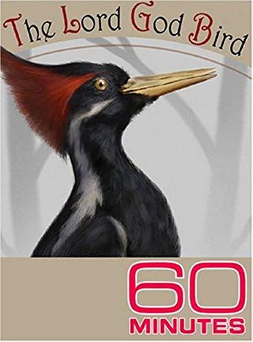 60 Minutes - The Lord God Bird (October 16, 2005)