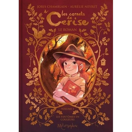 Les Carnets De Cerise - Tome 1 - Les Fantômes En Couleurs