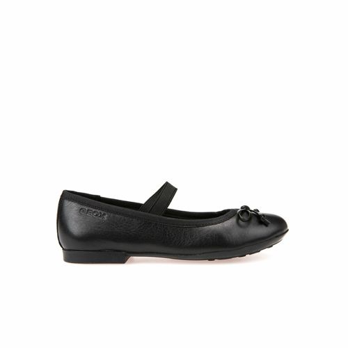 Chaussures Ballerines Geox Plie' Smooth Leath