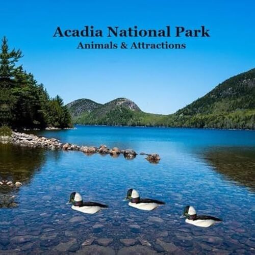 Acadia National Park Animals And Attractions Kids Book