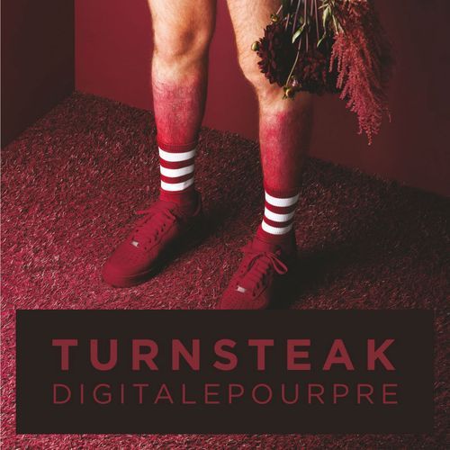 Turnsteak Digitale Pourpre