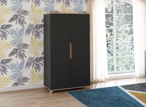 Armoire 2 Portes Ardoise Et Chêne