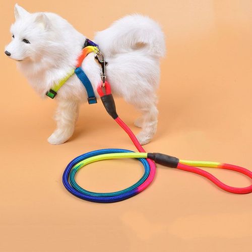 Laisse Pour Chiens, 2 Tailles, Pour Grands Et Petits Chats, Corde En Nylon, Tenace, Accessoires Pour Chiots