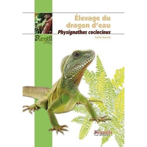 Elevage Du Dragon D'eau - Physignathus Cocincinus